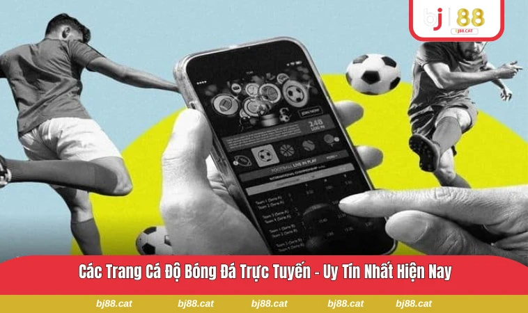 Các Trang Cá Độ Bóng Đá Trực Tuyến