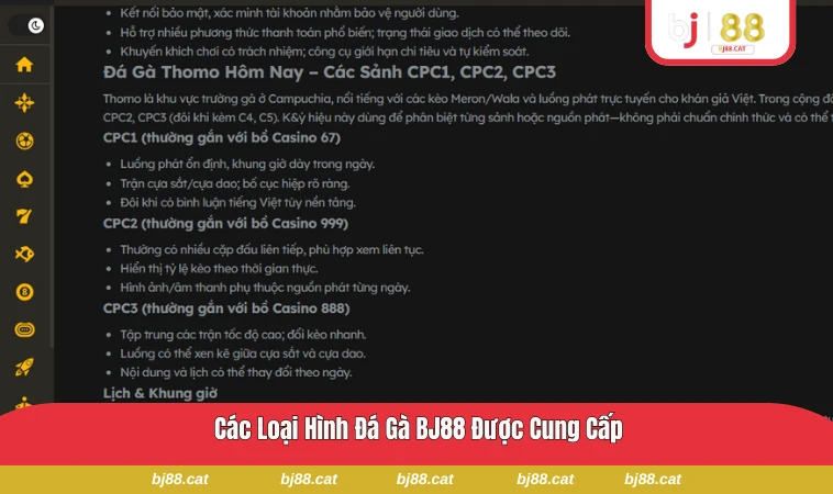 Các loại hình đá gà tại BJ88 với nhiều trường gà khác nhau
