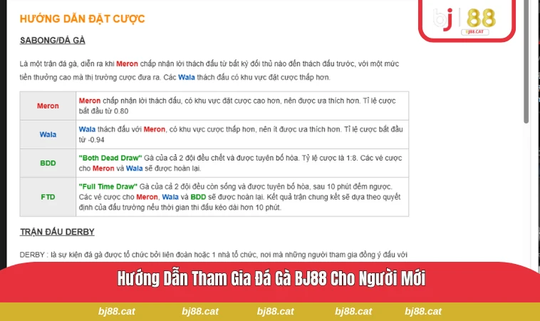 Hướng dẫn người chơi chọn kèo đá gà tại BJ88