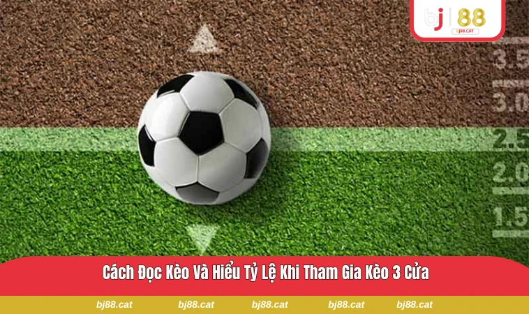 Tỷ lệ kèo 3 cửa với sự chênh lệch odds rõ ràng giữa các cửa