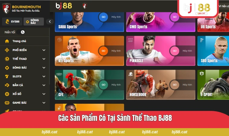 Các môn thể thao phổ biến có tại sảnh thể thao của BJ88